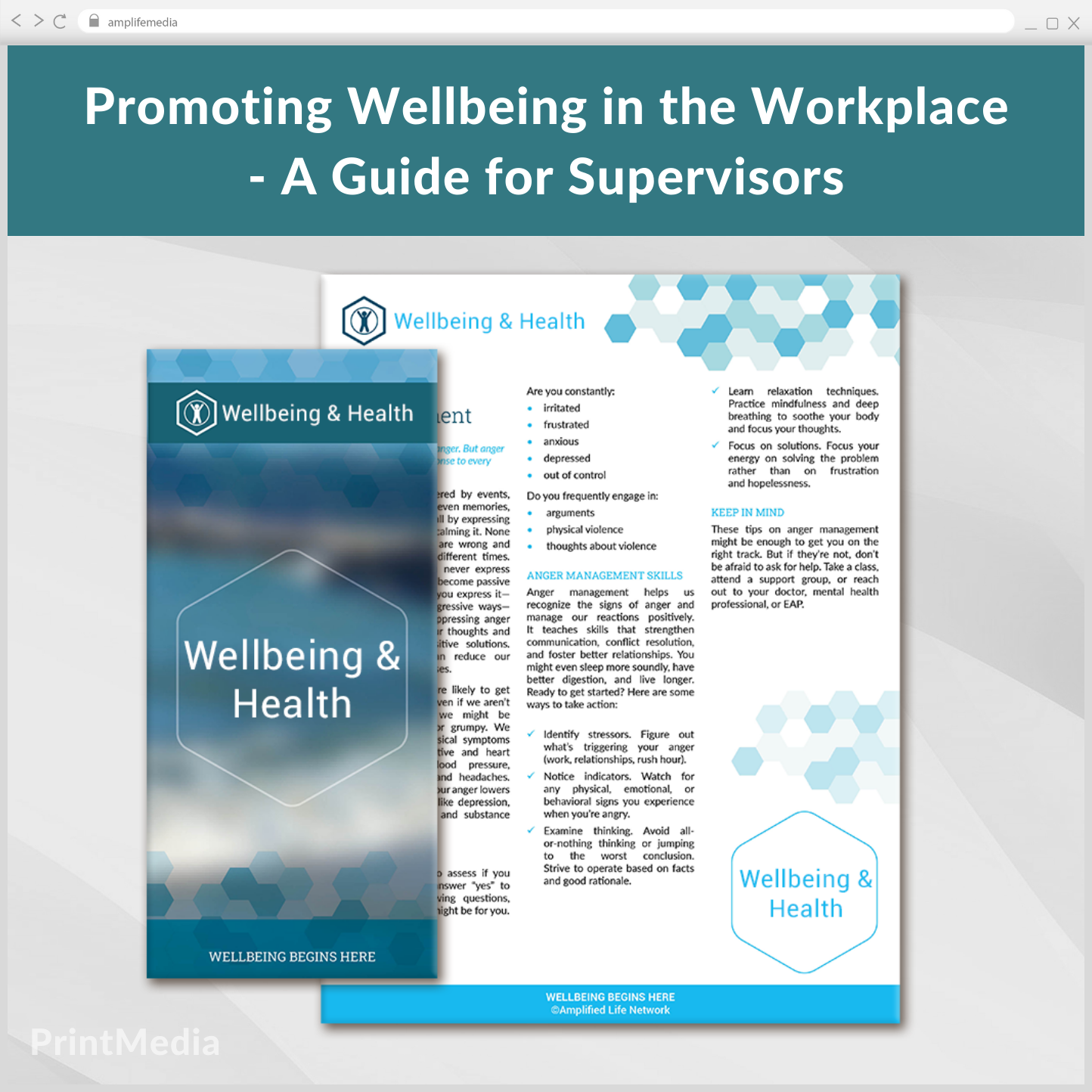 Subscription to Wellbeing Media: Promoting Wellbeing in the Workplace - for Supervisors PrintMedia 223