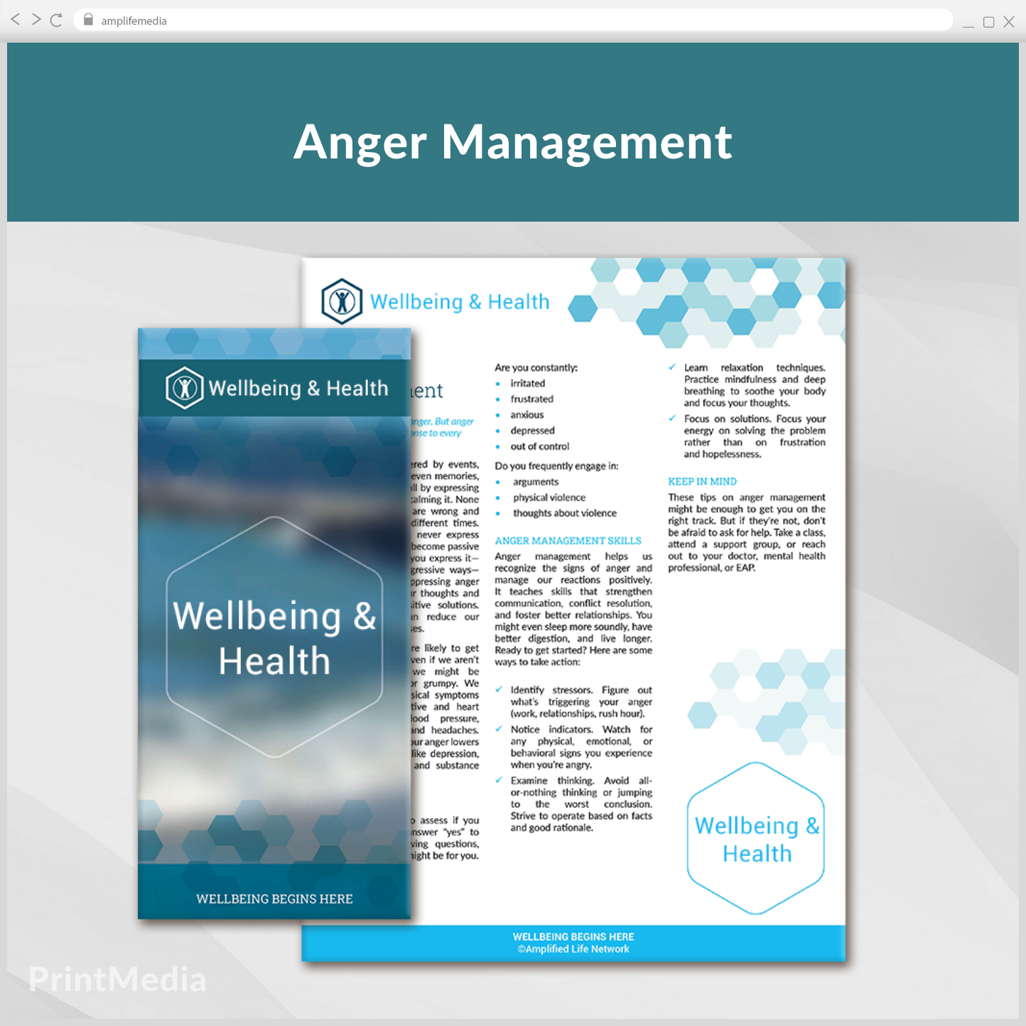 Subscription to Wellbeing Media: Anger Management PrintMedia 622